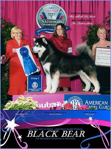 Black Bear winning the Group at the Eukanuba Classic!